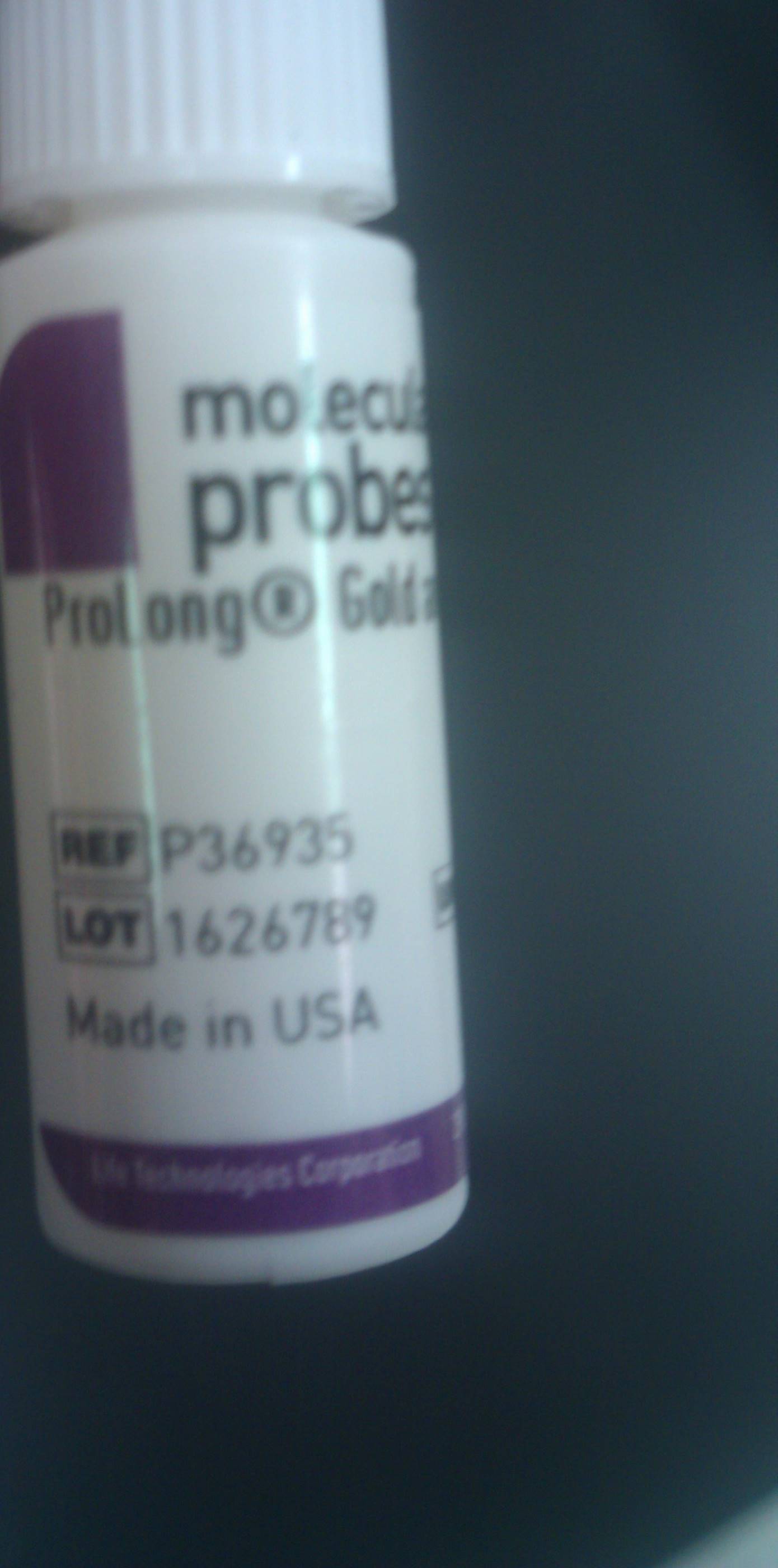 Mounting Media with DAPI Kit/Reagent Review